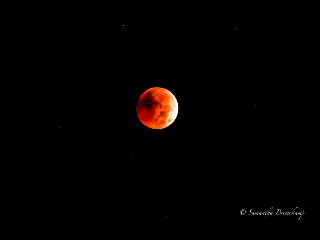 November 8th, 2022 Total eclipse Blood Red Full Moon surrounded by stars.